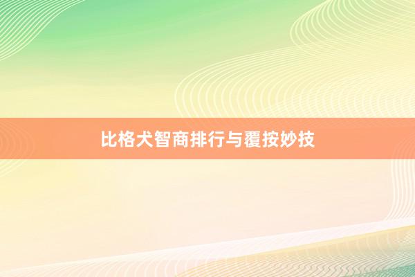 比格犬智商排行与覆按妙技